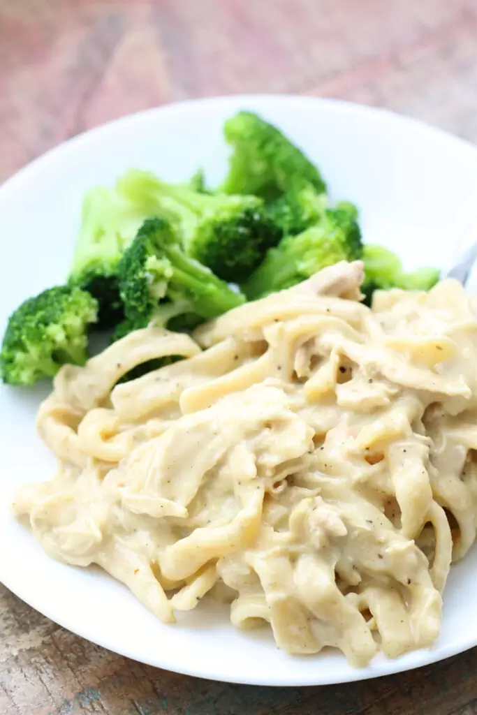 Instant Pot Simple Chicken Slop